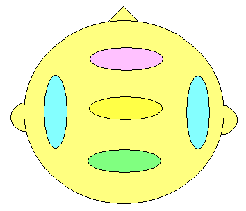 brain2