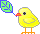 bird